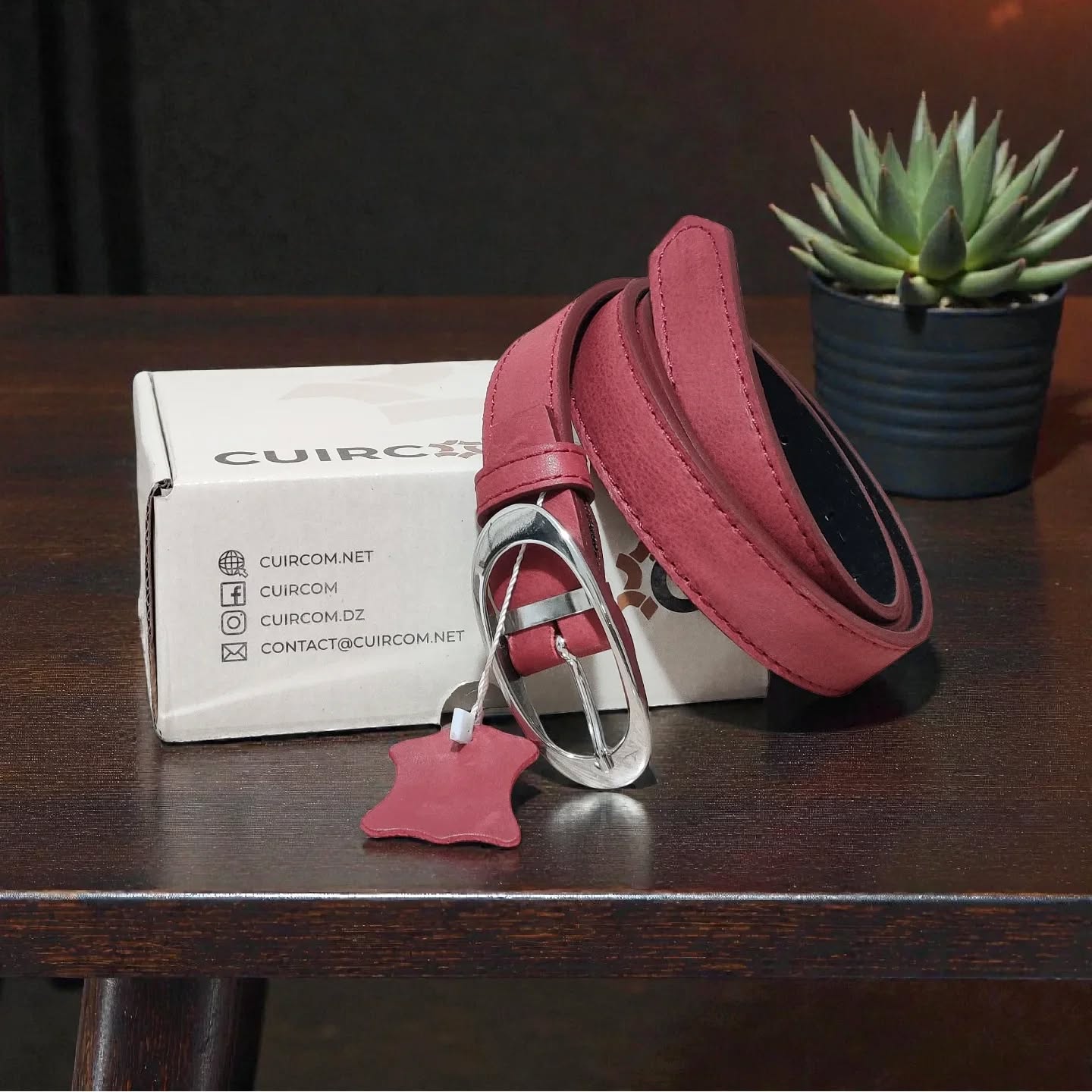 608202589_17903733150337477_7233456785066209385_n 608202589_17903733150337477_7233456785066209385_n